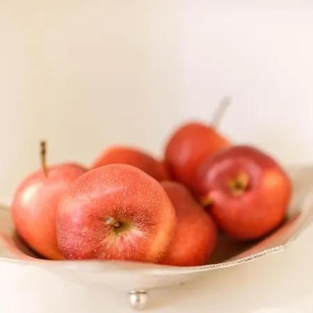 Appartamento Riboty 10