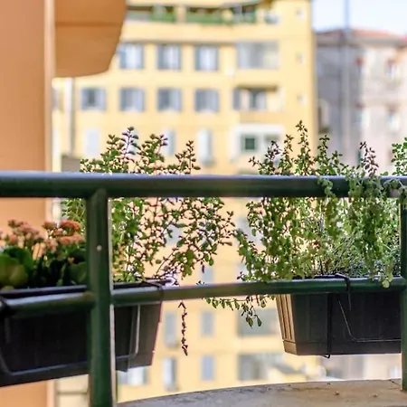Riboty 10 Roma